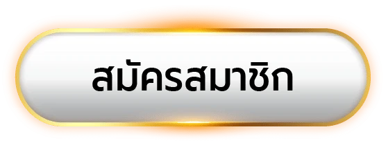 ak3838